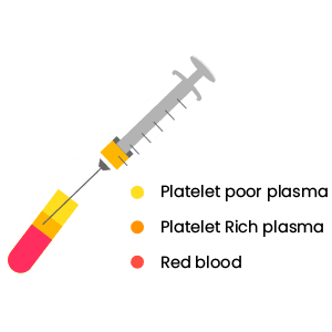 Blood Composition